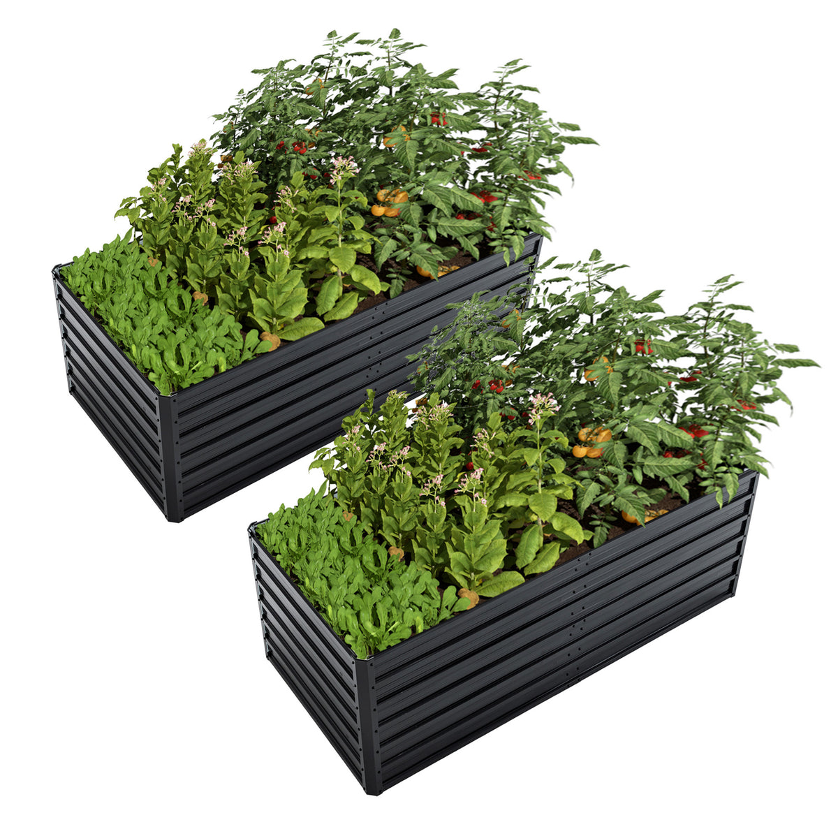 3x6 ft Black Metal Raised Garden Bed, Set of 2