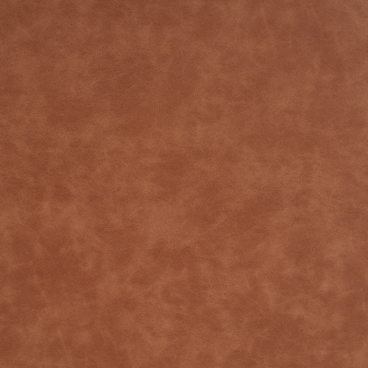 26731820