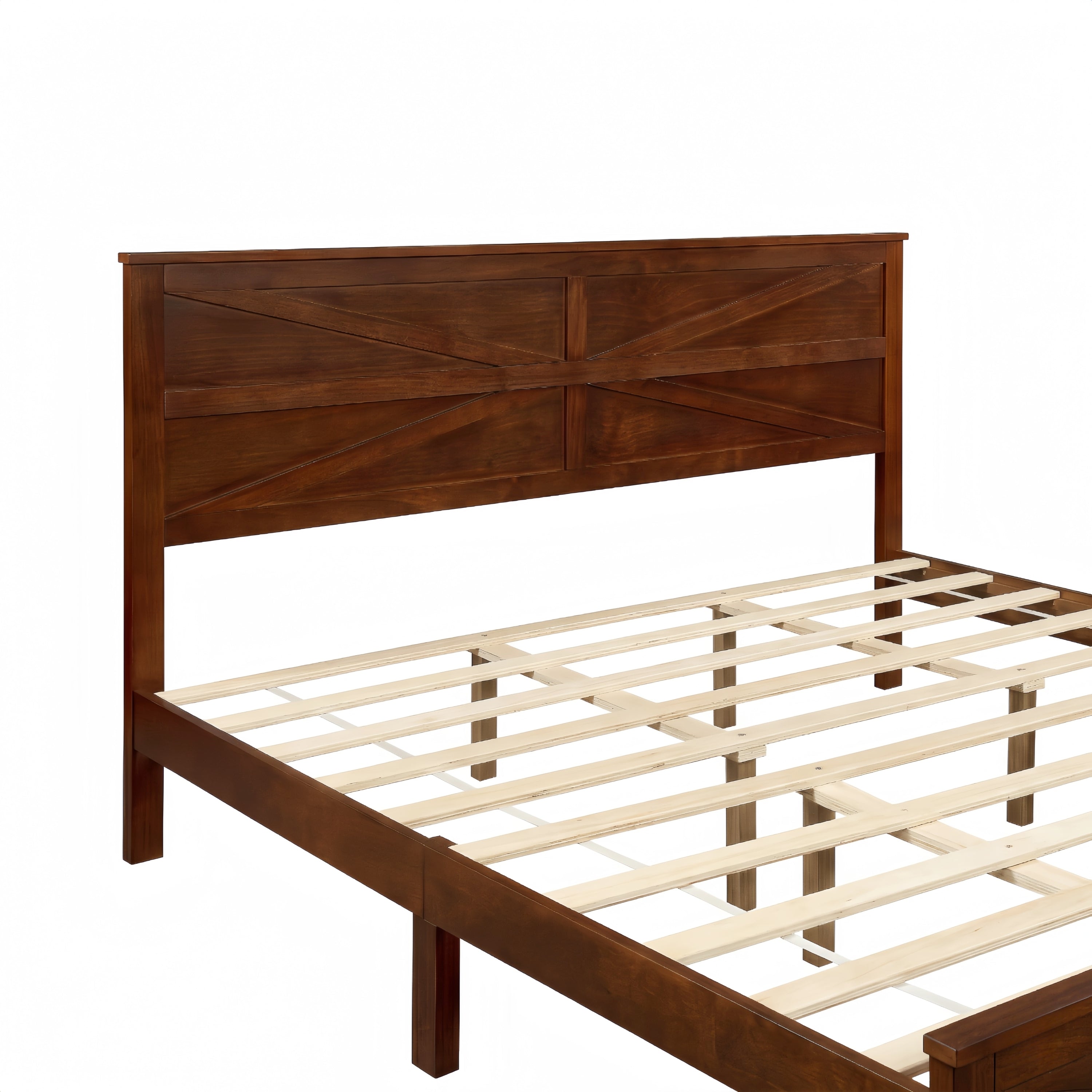 25362809