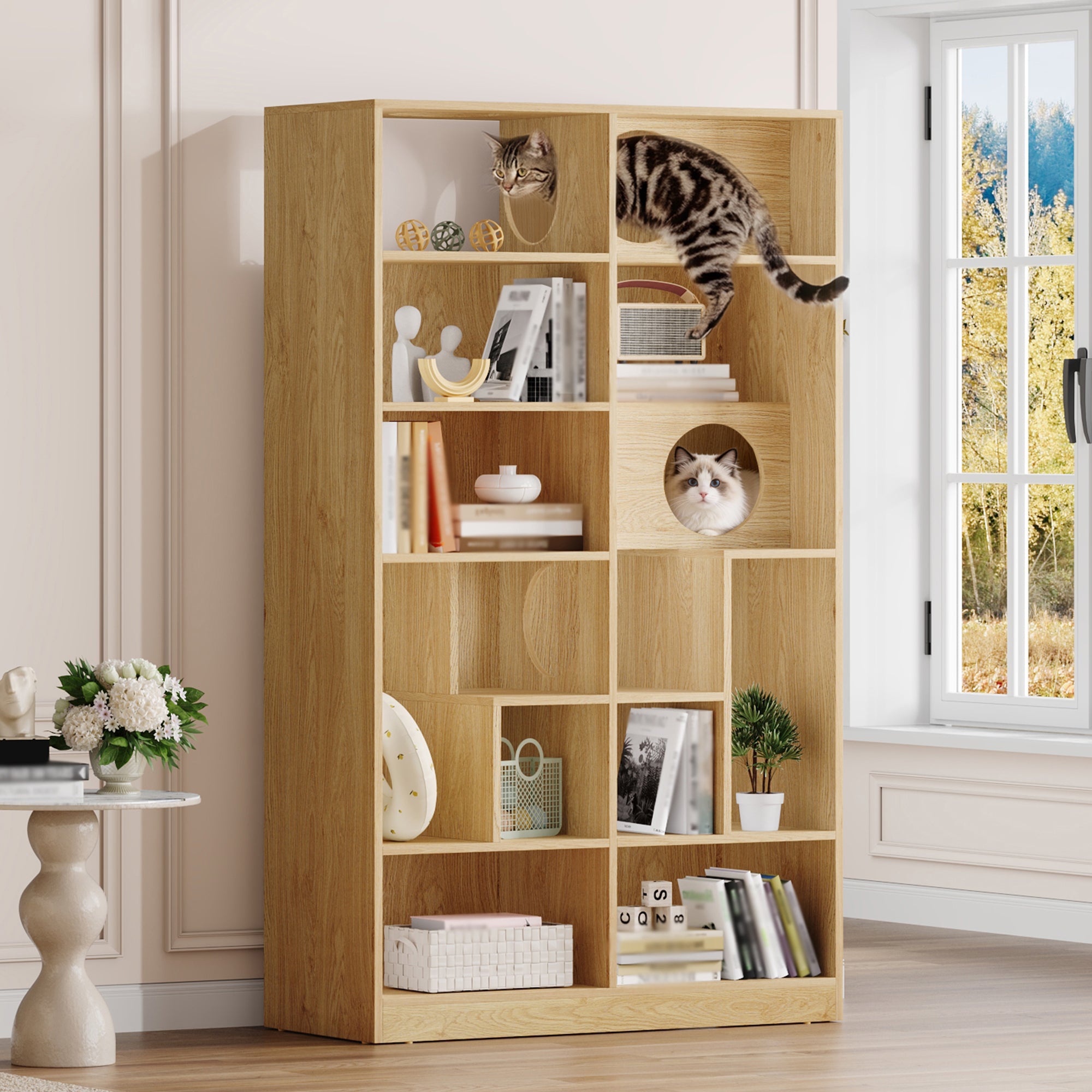 Modern Bookcase, 63.5 in, Natural