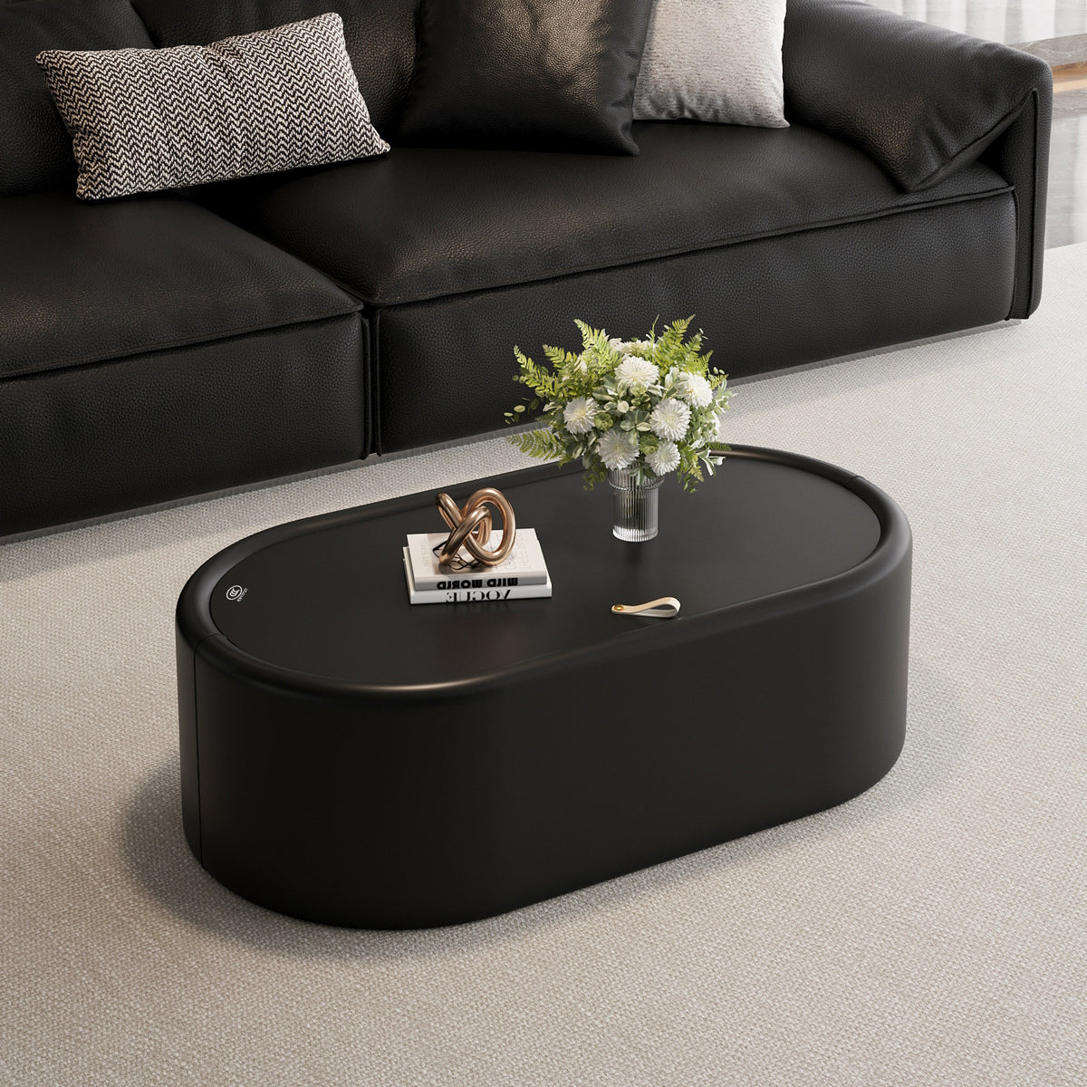 Black Glass Top Oval Coffee Table with Storage, Racetrack Shape