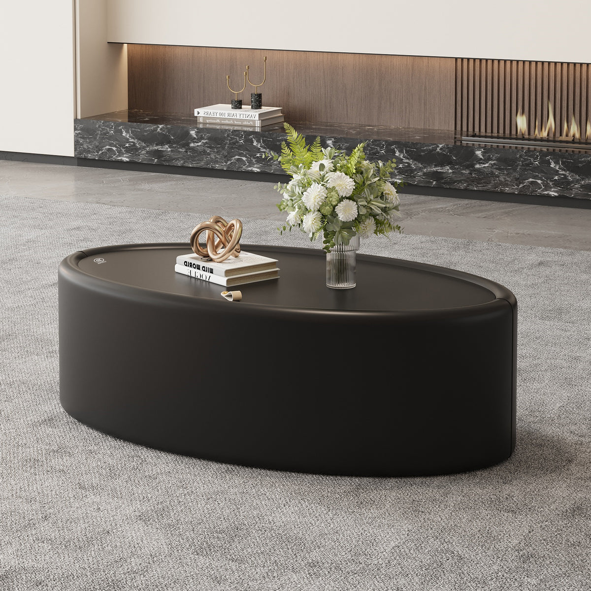 Black Glass Top Oval Coffee Table with Storage, Elliptical Shape