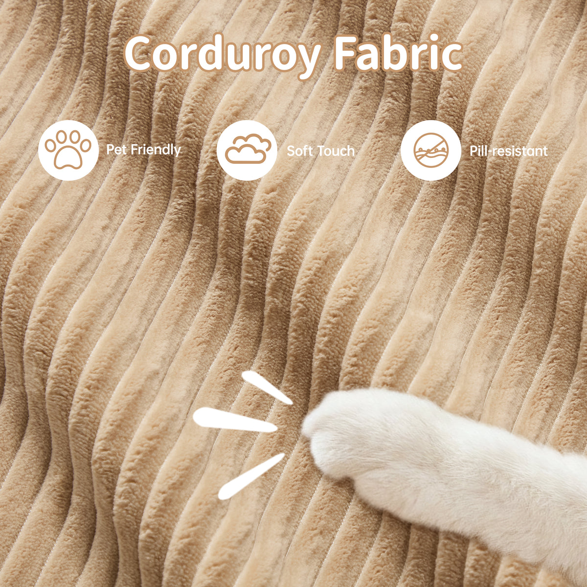 26341419