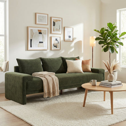 Velvet Couches