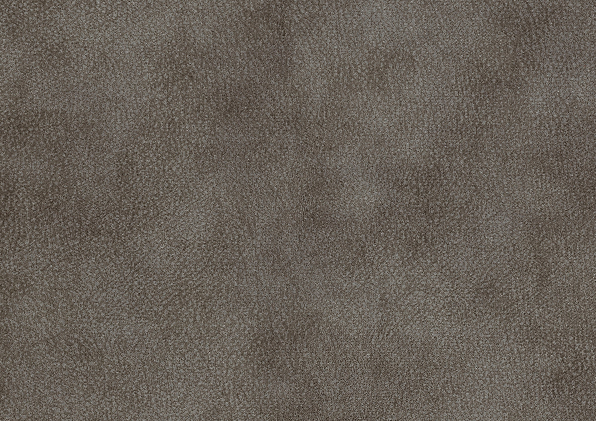 26373501
