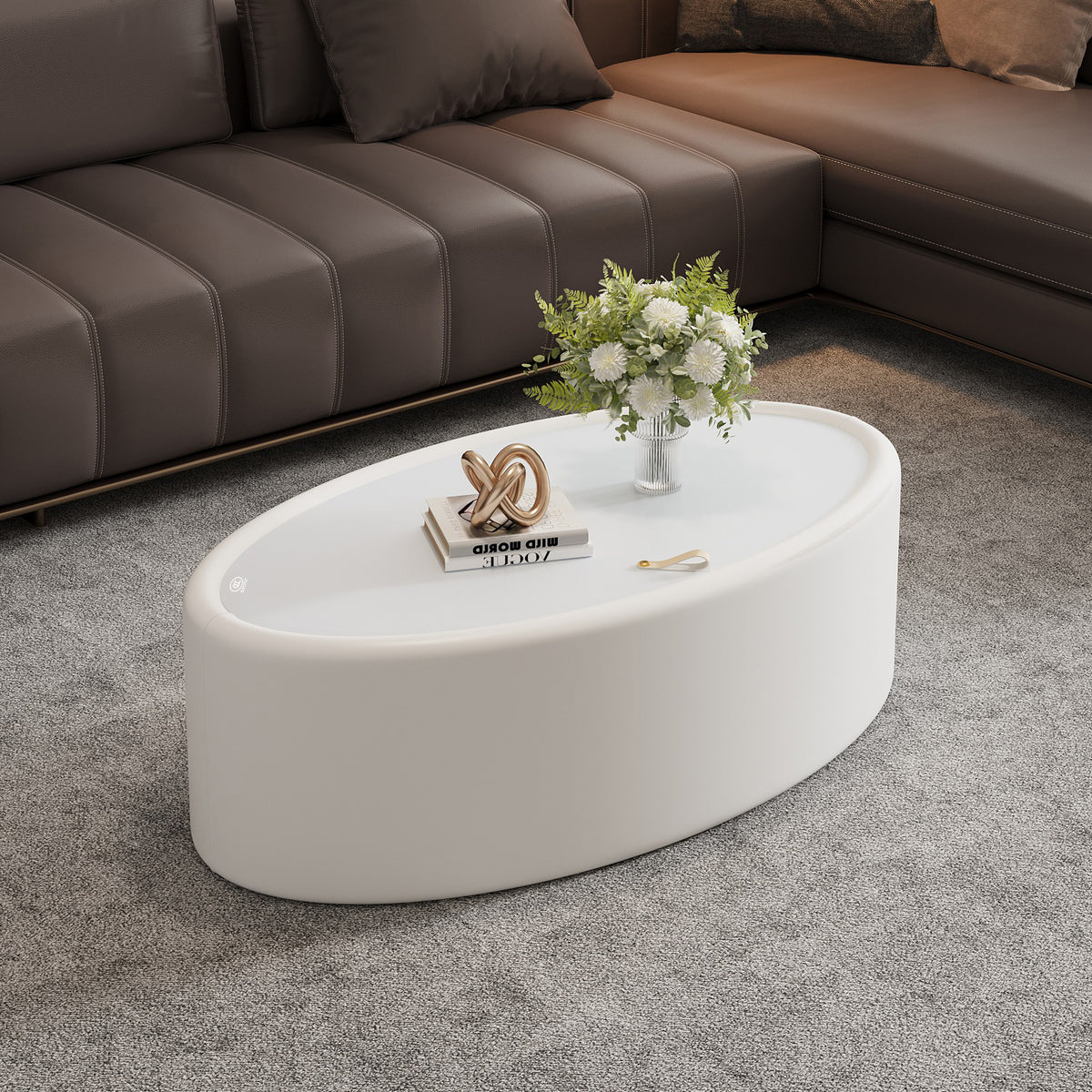 White Glass Top Oval Coffee Table with Storage, Elliptical Shape