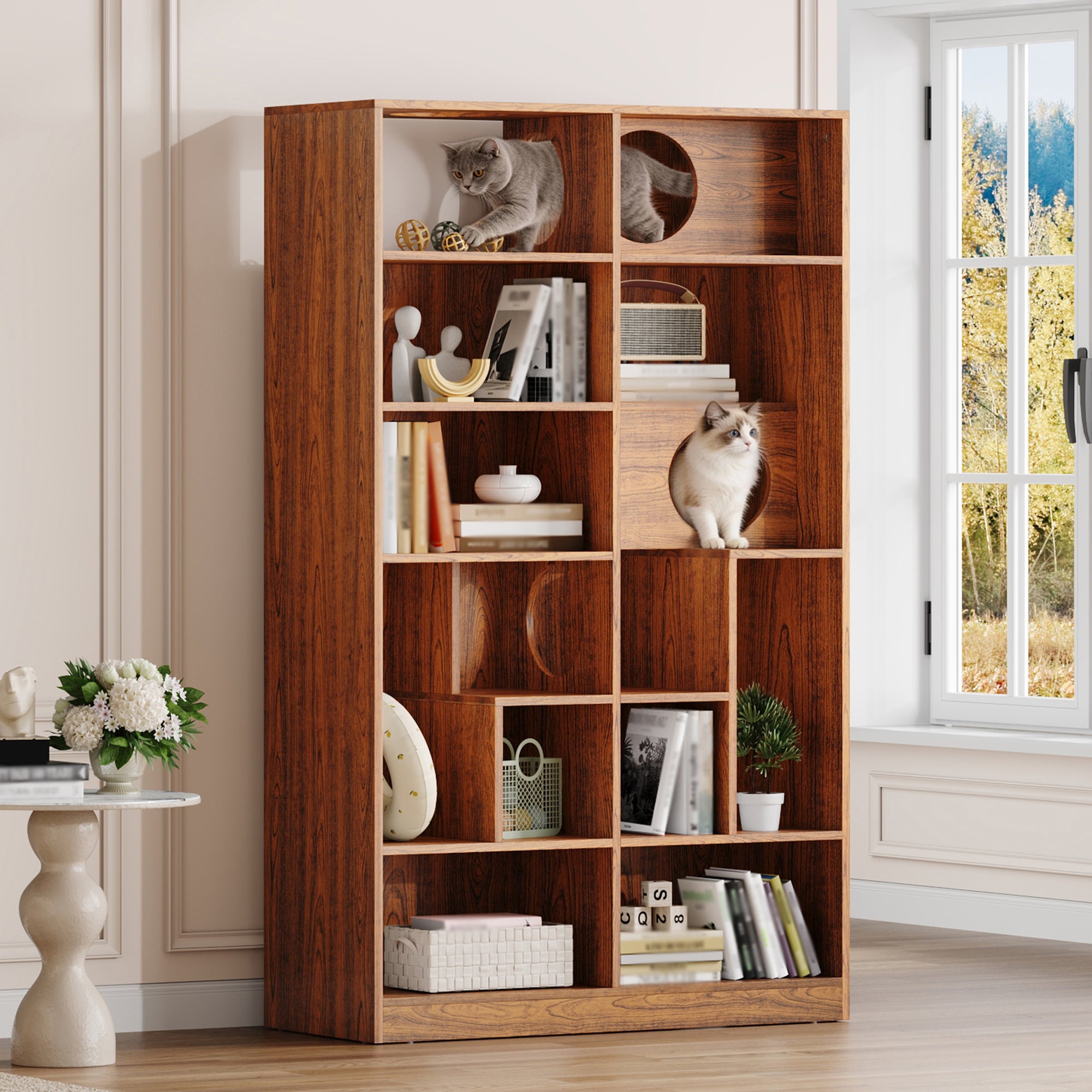 Modern Bookcase, Brown