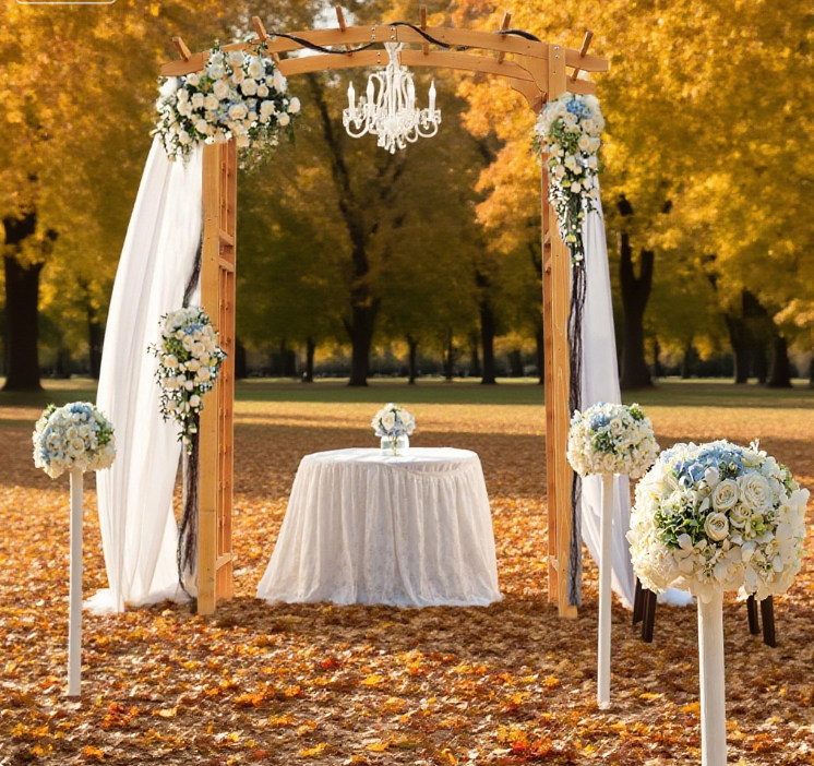 27181994