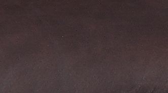 26015753