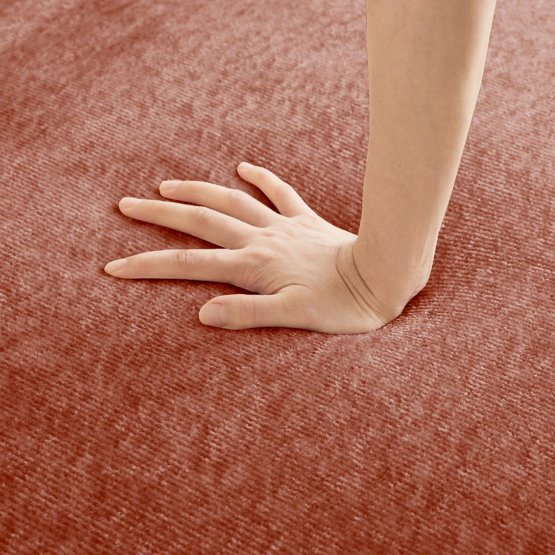 25091097