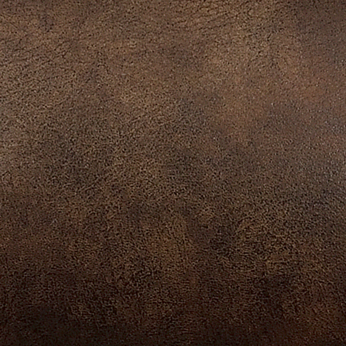 26375508